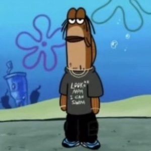 Meet your Posher, Samir